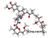 Шарико-стержневая модель ингибитора mTOR.