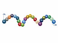 Препараты для снижения веса могут предотвратить развитие наркотической и алкогольной зависимости