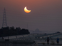 Израильские ученые опровергли предположение, что деревья могут 