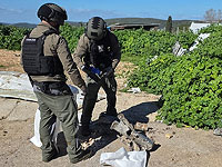 Ракета попала в птицеферму в Западной Галилее: причинен значительный ущерб