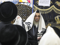 Сатмарский ребе провел параллель между Израилем и золотым тельцом