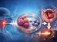 Звуковые вибрации могут ослабить злокачественные свойства клеток рака гортани