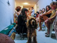 Ракетная тревога на севере и на юге Израиля