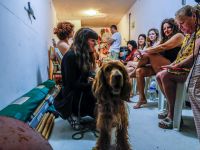 Ракетная тревога на севере и на юге Израиля Ракетная тревога на севере и на юге Израиля