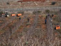 Вновь ракетная тревога сработала у границы с Ливаном