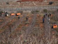 Вновь ракетная тревога сработала у границы с Ливаном