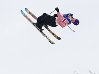 Олимпиада. Фристайл. Чемпионом в слоупстайле стал норвежец