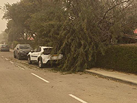 Песчаная буря в Западном Негеве, порывы ветра достигают 90 км/ч