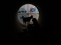 16-й день войны 