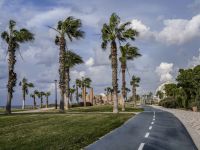 Осторожнее на дорогах в горах и на севере: возможен сильный ветер и падение деревьев Осторожнее на дорогах в горах и на севере: возможен сильный ветер и падение деревьев