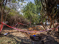 Сообщения о падении осколков на севере Израиля и в районе Иерусалима