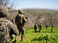 На юге Ливана уничтожены несколько боевиков На юге Ливана уничтожены несколько боевиков