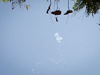 Ракетная тревога на линии противостояния: обстрел из Ливана Ракетная тревога на линии противостояния: обстрел из Ливана