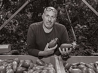 ЦАХАЛ проверяет вероятность того, что Офер Мошкович в Мисгав-Аме был убит огнем ЦАХАЛа ЦАХАЛ проверяет вероятность того, что Офер Мошкович в Мисгав-Аме был убит огнем ЦАХАЛа