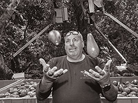 Расследование ЦАХАЛа: обстрел велся под неверным углом, пять снарядов попали в Мисгав-Ам Расследование ЦАХАЛа: обстрел велся под неверным углом, пять снарядов попали в Мисгав-Ам