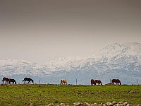 На вершине горы Хермон продолжается снегопад