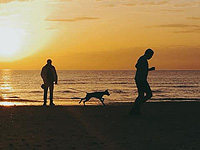 Связь между собаками и людьми существует более 15 тысяч лет. Новое исследование