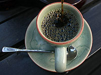 Кофеин влияет на мозговые цепи, улучшая социальную память