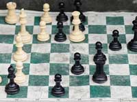 CAS частично удовлетворил иск Федерации шахмат Украины против россиян