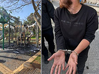 Предъявлены обвинения поджигателю детской площадки в парке Ган Сакер в Иерусалиме