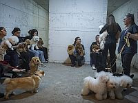 Ракетная тревога в Кирьят-Шмоне, Метуле и других приграничных районах