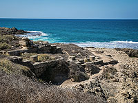 Археологи нашли 