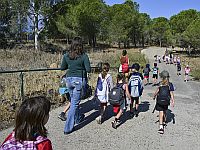 Нетаниягу поддержал поэтапное возвращение к очным занятиям в школах