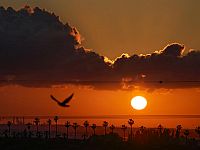 Перемирие с Ираном: за и против, успехи и угрозы. Опрос Newsru.co.il