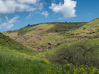 Управление охраны природы открыло национальные парки и заповедники