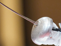 Юниорский чемпионат мира по фехтованию. Израильтяне завоевали серебряную медаль