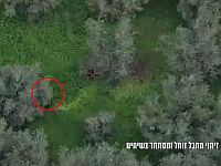 Кусты не спасли: ВВС Израиля ликвидировали группу боевиков Кусты не спасли: ВВС Израиля ликвидировали группу боевиков