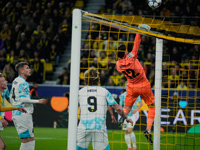 Никита Хайкин получил гражданство Норвегии