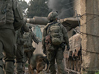 918-й день войны: действия в Ливане и Газе, операции в Иудее и Самарии