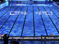 Плавание. Израильтяне завоевали пять медалей Canadian Open Плавание. Израильтяне завоевали пять медалей Canadian Open