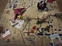 Психологи изучили воздействие травмы 7 октября на сенсорную систему маленьких детей