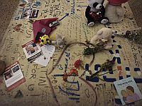 Психологи изучили воздействие травмы 7 октября на сенсорную систему маленьких детей Психологи изучили воздействие травмы 7 октября на сенсорную систему маленьких детей