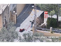 ЦАХАЛ опубликовал видео сдачи в плен боевиков ЦАХАЛ опубликовал видео сдачи в плен боевиков