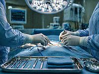 Врач из Флориды обвинен в том, что во время операции удалил пациенту печень вместо селезенки