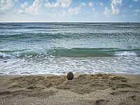 Открыт купальный сезон на морских пляжах природных заповедников