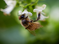 Торговый центр в Нетивоте 