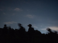 ЦАХАЛ ликвидировал группу террористов на юге Ливана