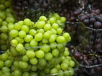 Минсельхоз обвинил ритейлеров в завышении цен на импортный виноград