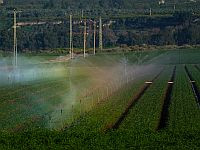 Израильский стартап предлагает охладить планету, изменив сельское хозяйство