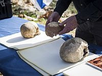 Почему младенцы неандертальцев росли быстрее, чем дети Homo sapiens