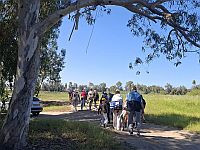 130 тысяч израильтян отпраздновали День независимости на природе