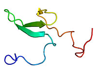 Израильские ученые нашли 