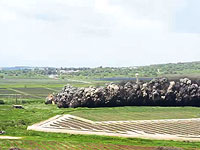 Министерство обороны опубликовало видео контролируемого подрыва 700 мин на Голанах