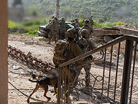 ЦАХАЛ: с начала перемирия на юге Ливана ликвидированы не менее 25 боевиков 