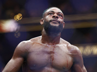 UFC. Стерлинг победил Залала