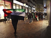 Нидерландская разведка выявила связь ряда пропалестинских демонстраций с ХАМАСом